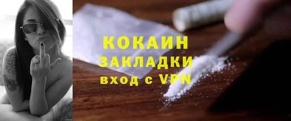 PSILOCYBIN Карталы