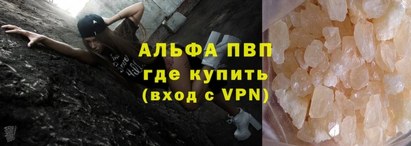 стаф Киренск