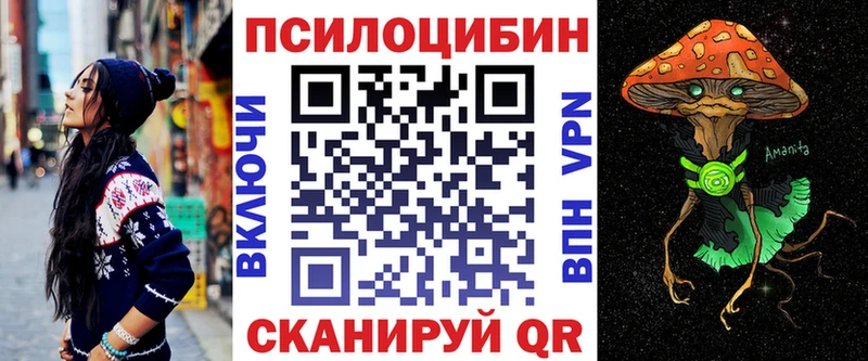 Купить  Долинск  Псилоцибиновые грибы MAGIC MUSHROOMS 